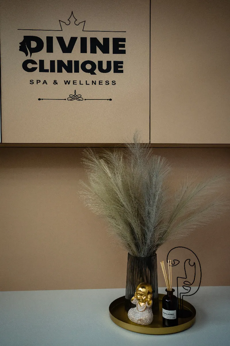 Recepția Divine Clinique, cu logo-ul pe perete și iarbă pampas